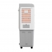 CLIMATIZADOR VENTISOL 60 LT 150W 220V 